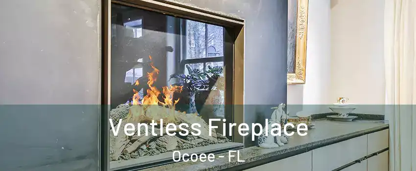  Ventless Fireplace Ocoee - FL