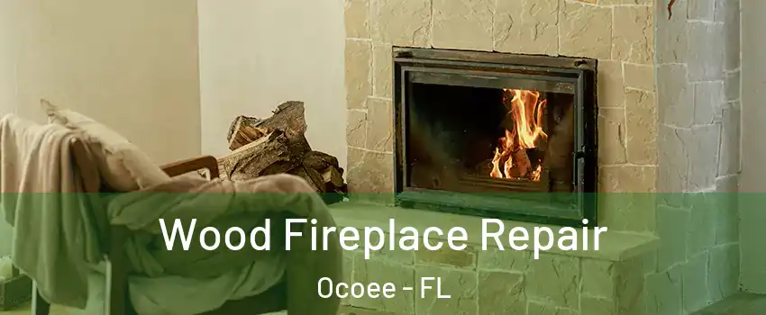 Wood Fireplace Repair Ocoee - FL