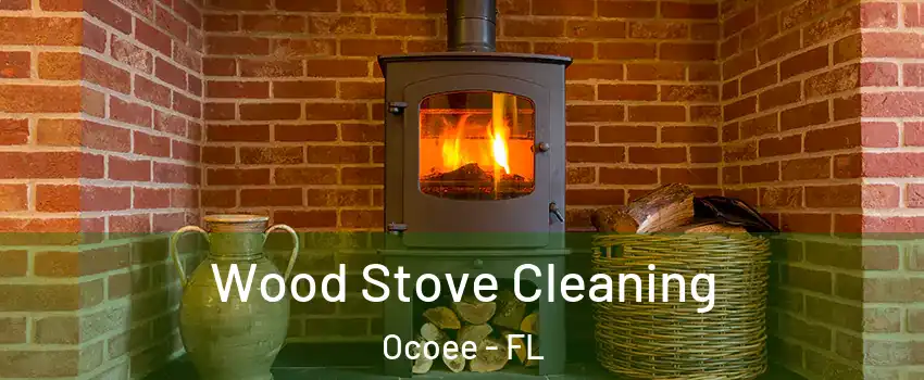  Wood Stove Cleaning Ocoee - FL