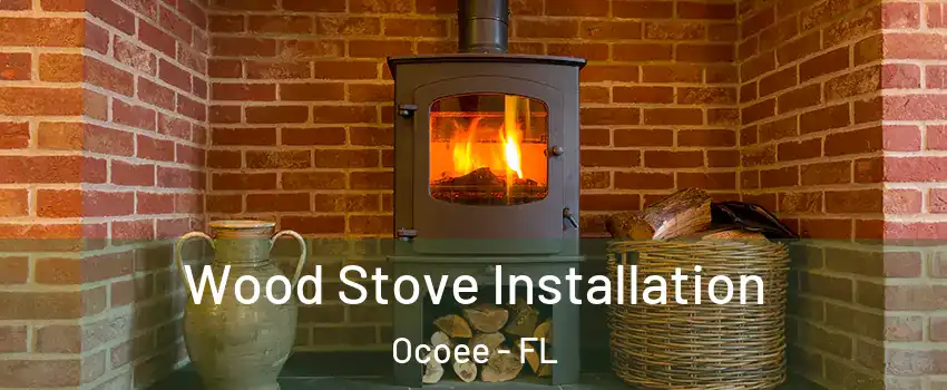  Wood Stove Installation Ocoee - FL