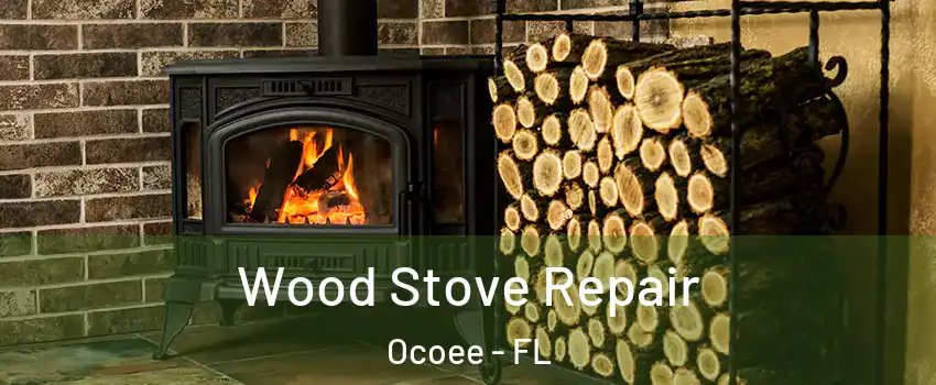  Wood Stove Repair Ocoee - FL